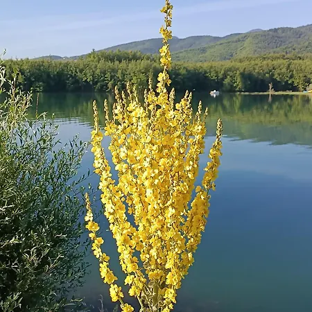 The Lady Of The * Kalívia